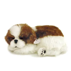 08Original - Shih Tzu