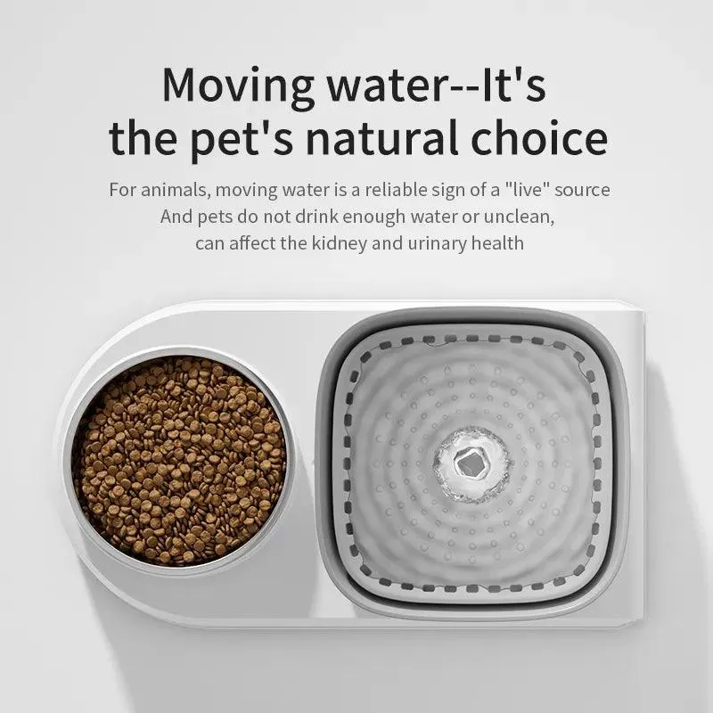 2in1 Pet Water Fountain and Feeding Bowl