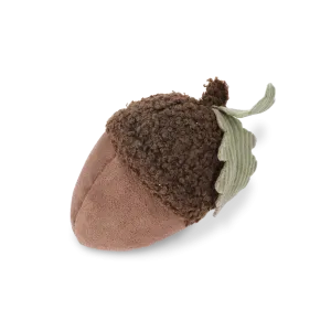 ACORN