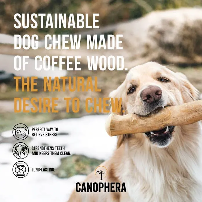 Canophera LLC Stick Coffee Wood Dog Chew