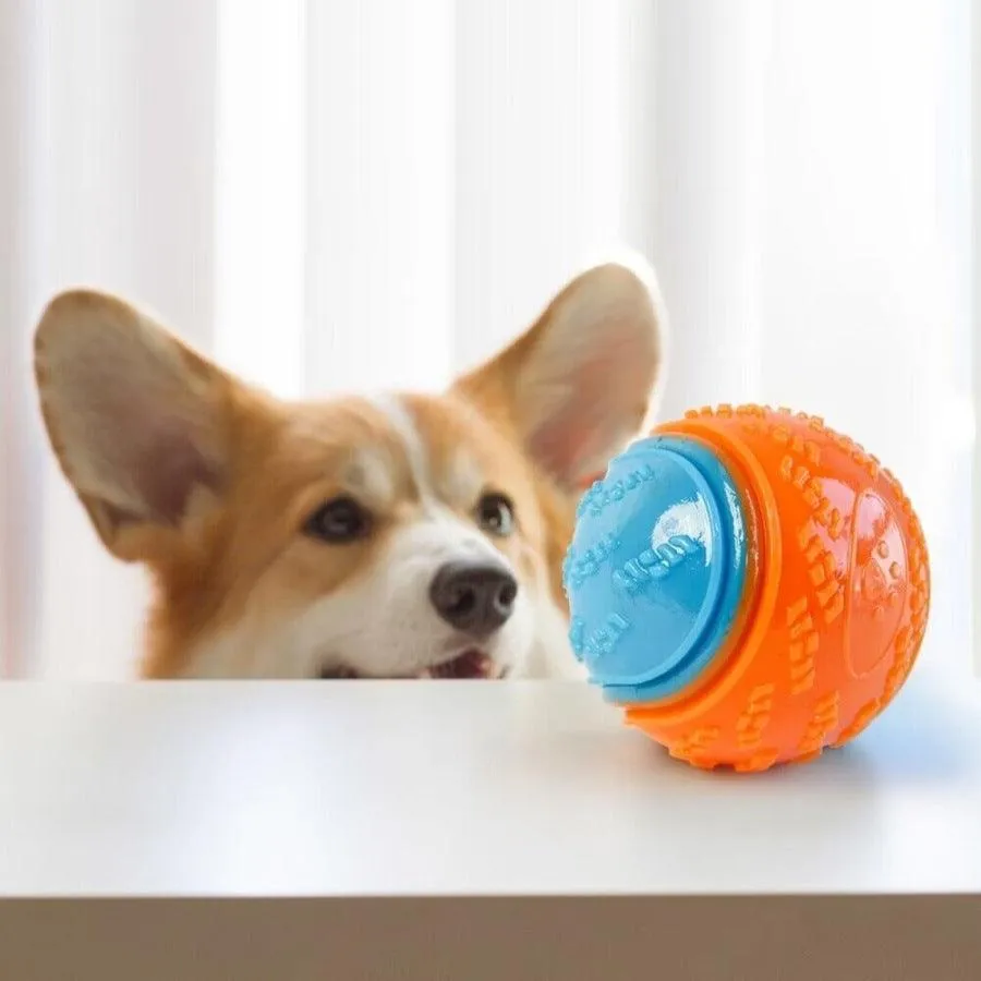 Chew Resistant Rubber Ball for Dogs