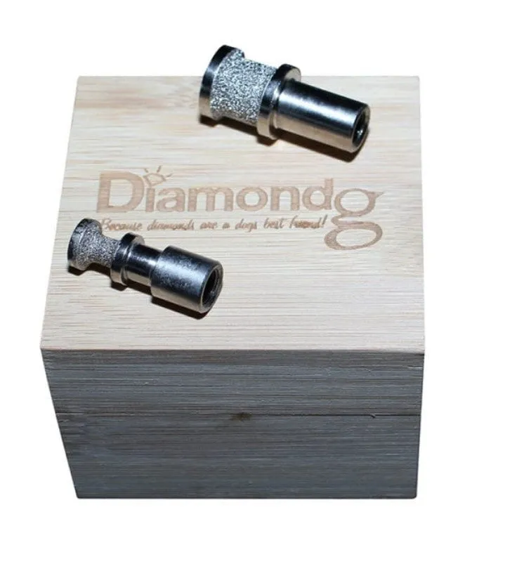 DiamondG ENHANCED  Rotary Nail Grinder BIT