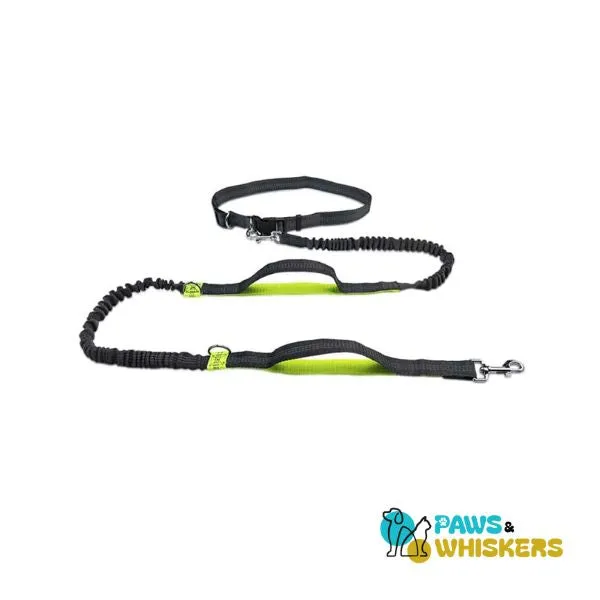 Dog Leash for Easy Daily Run