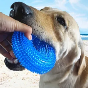 Durable Squeaky Donut Chew Toy for Dogs