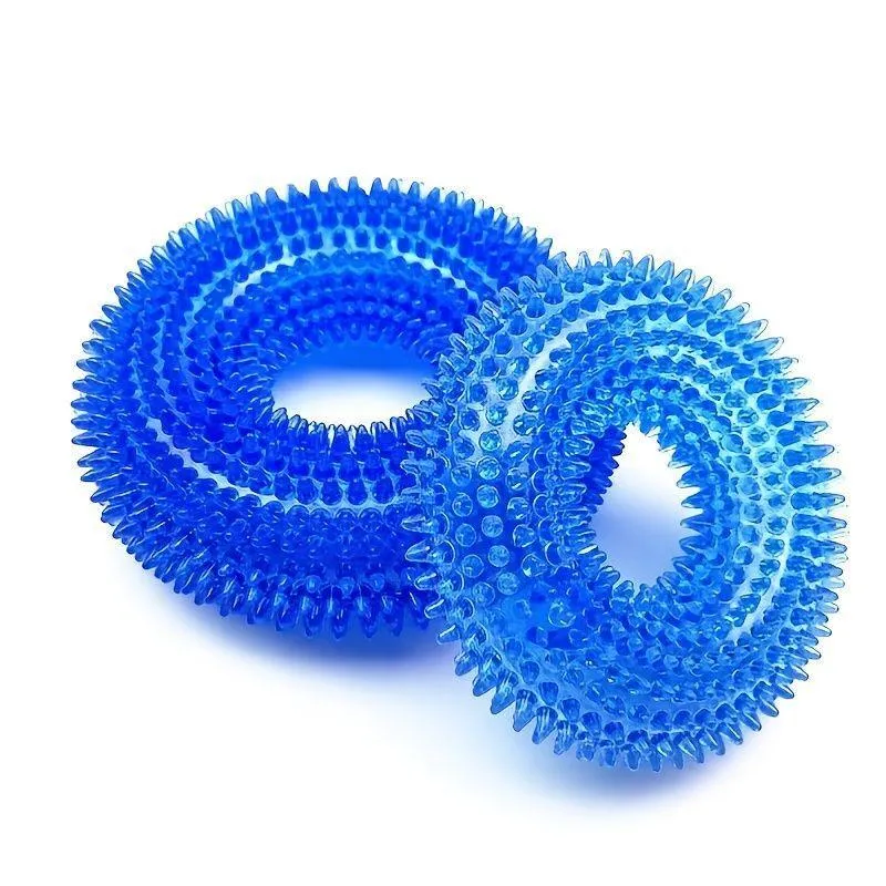 Durable Squeaky Donut Chew Toy for Dogs