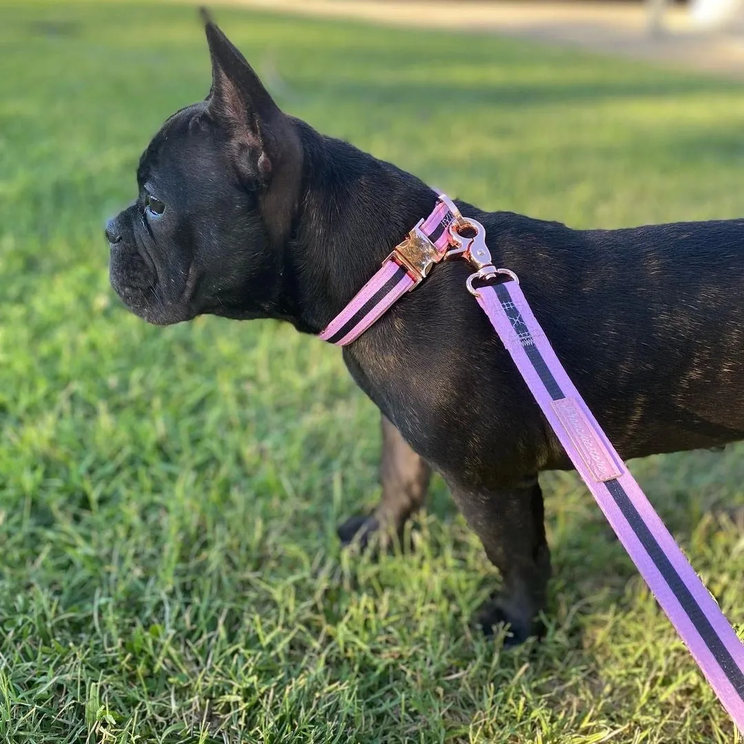 Frenchiestore Dog Luxury Leash | Pink Varsity