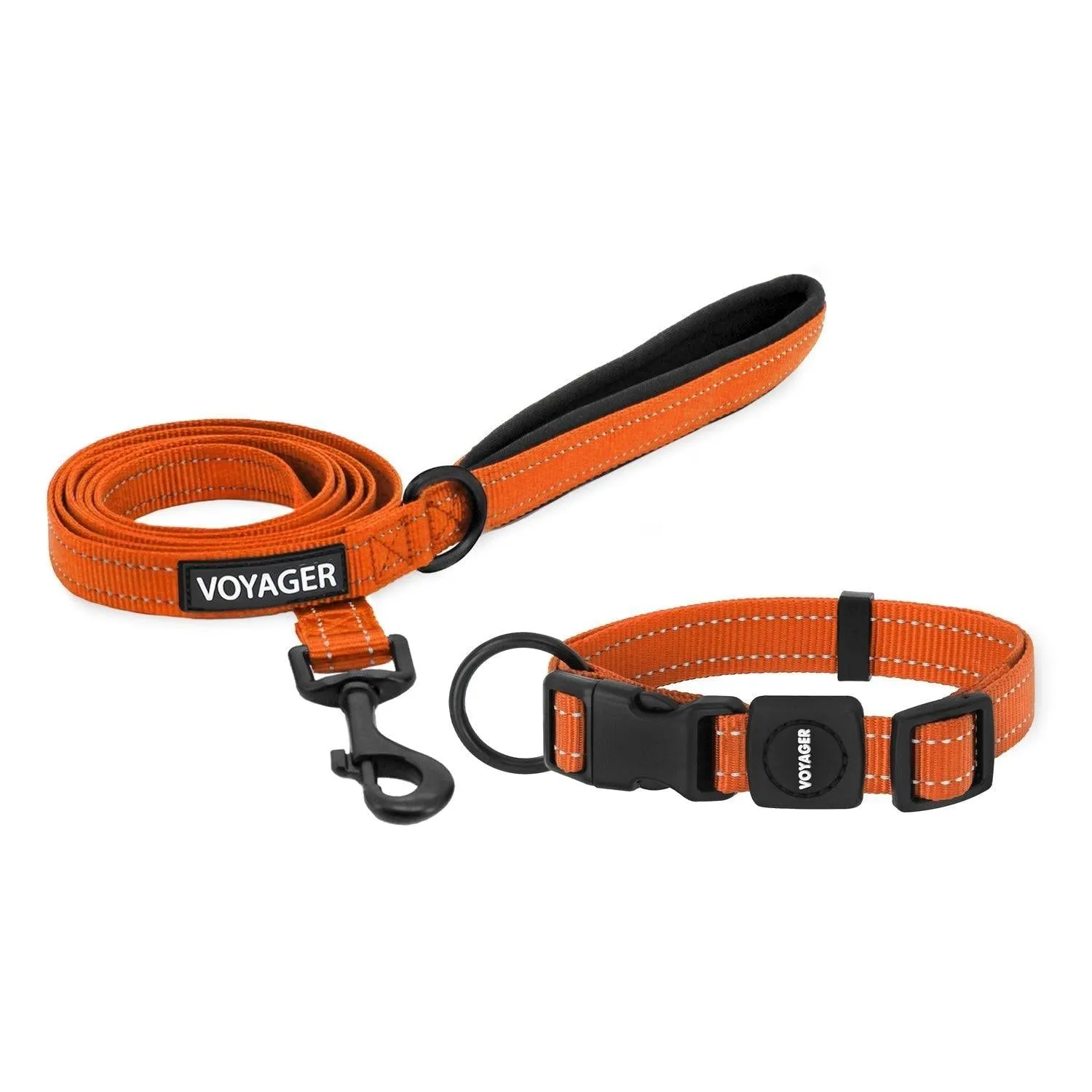 Halloween Voyager Leash and Collar Set