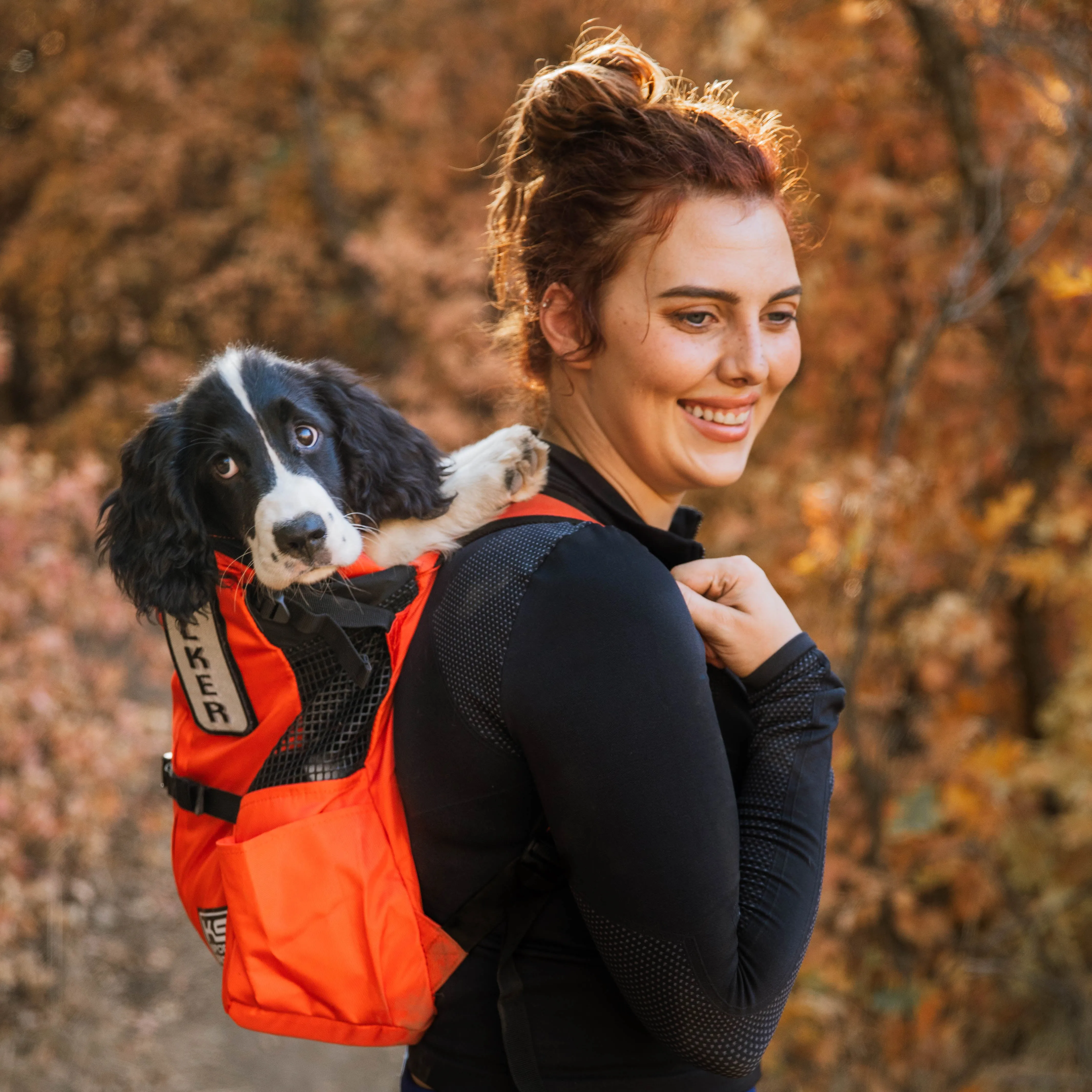 Klearance Trainer | Puppy & Small Dog Carrier