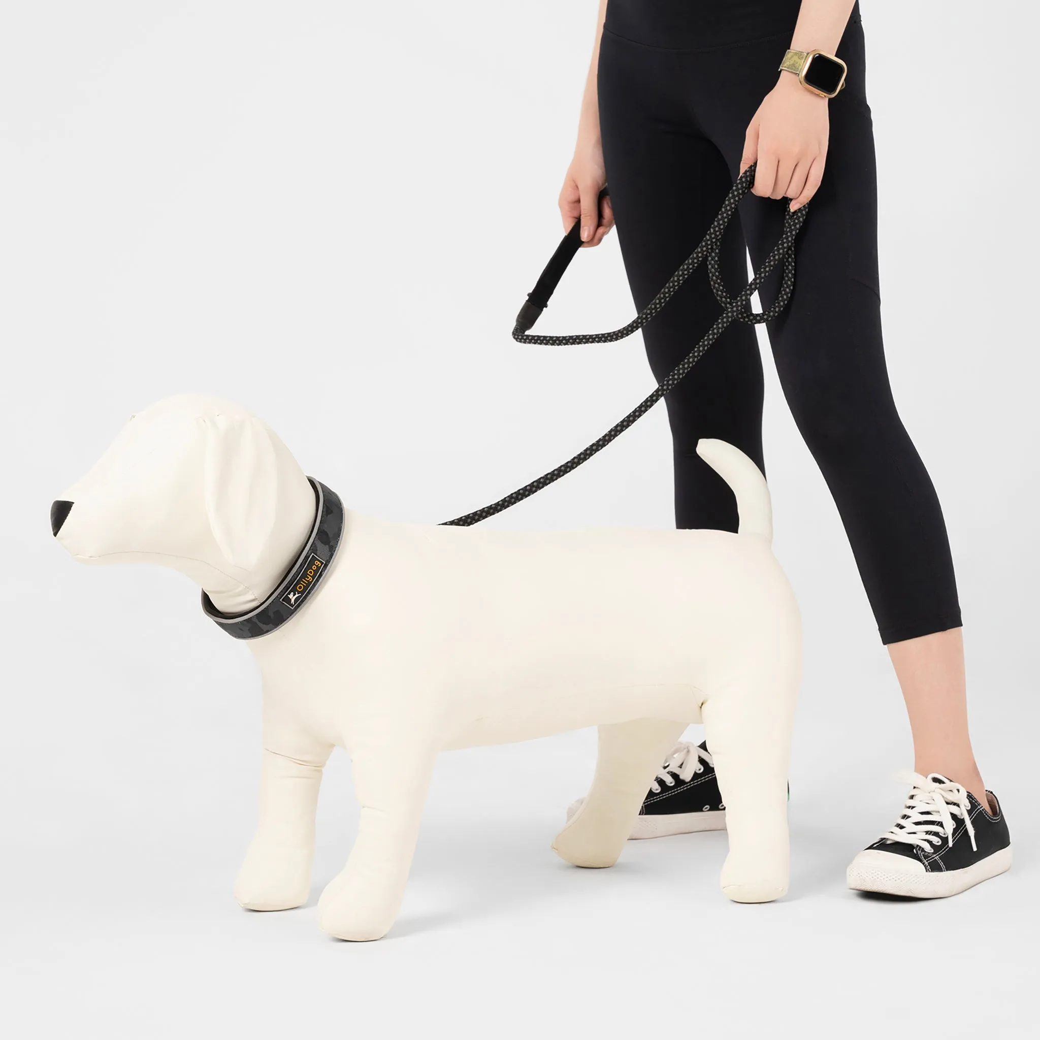 Mountain Leash | Rope Dog Leash