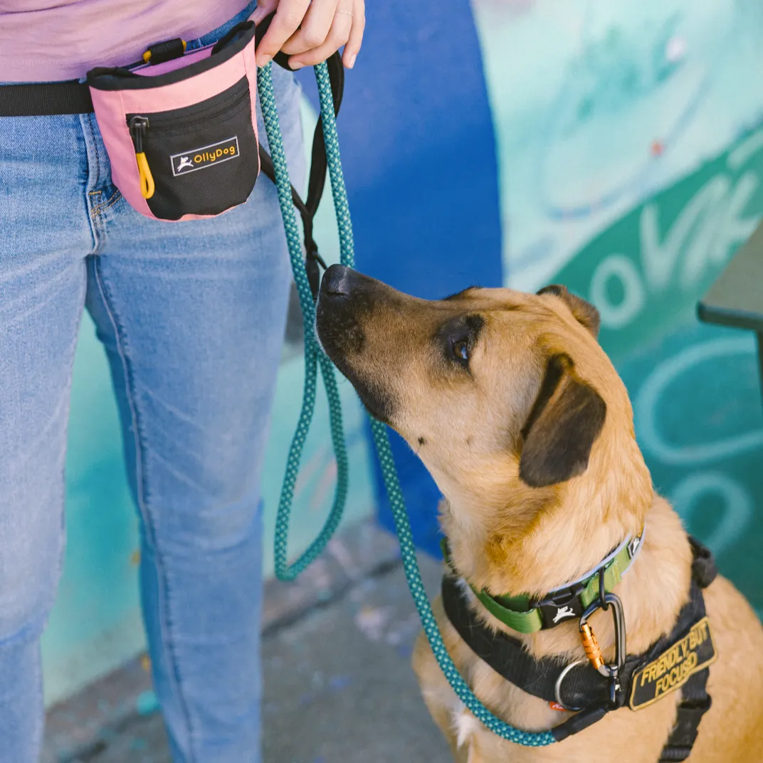 Mountain Leash | Rope Dog Leash