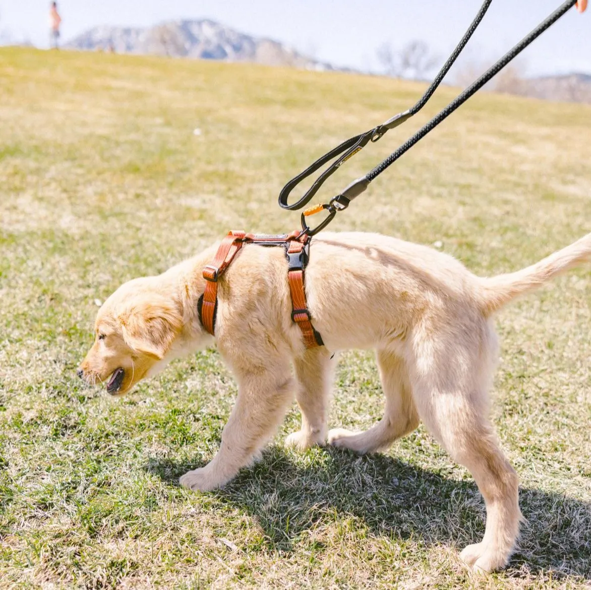 Mountain Leash | Rope Dog Leash