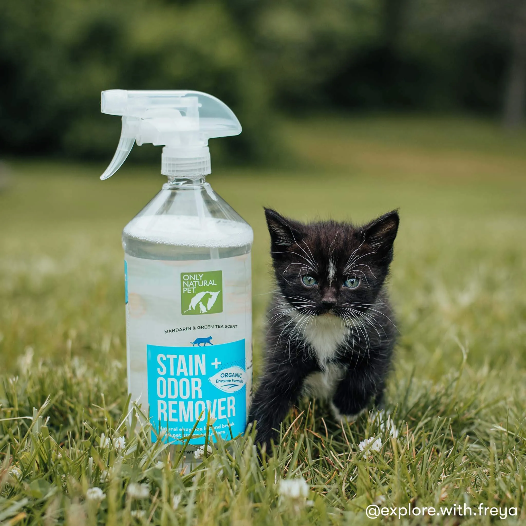 Only Natural Pet Cat Stain & Odor Remover Spray