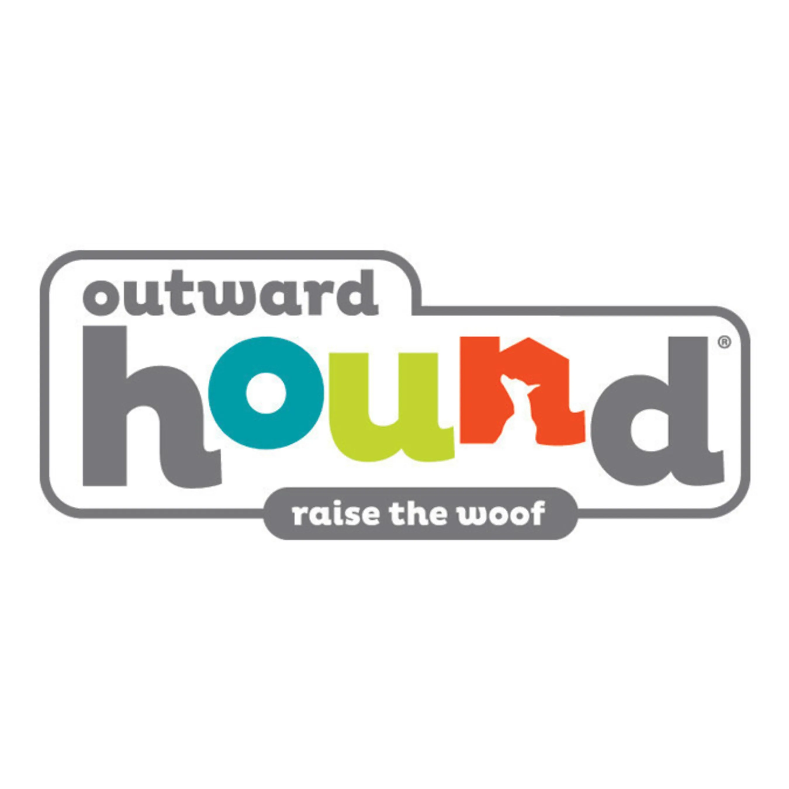 Outward Hound Planet Dog Orbee-Tuff Toys