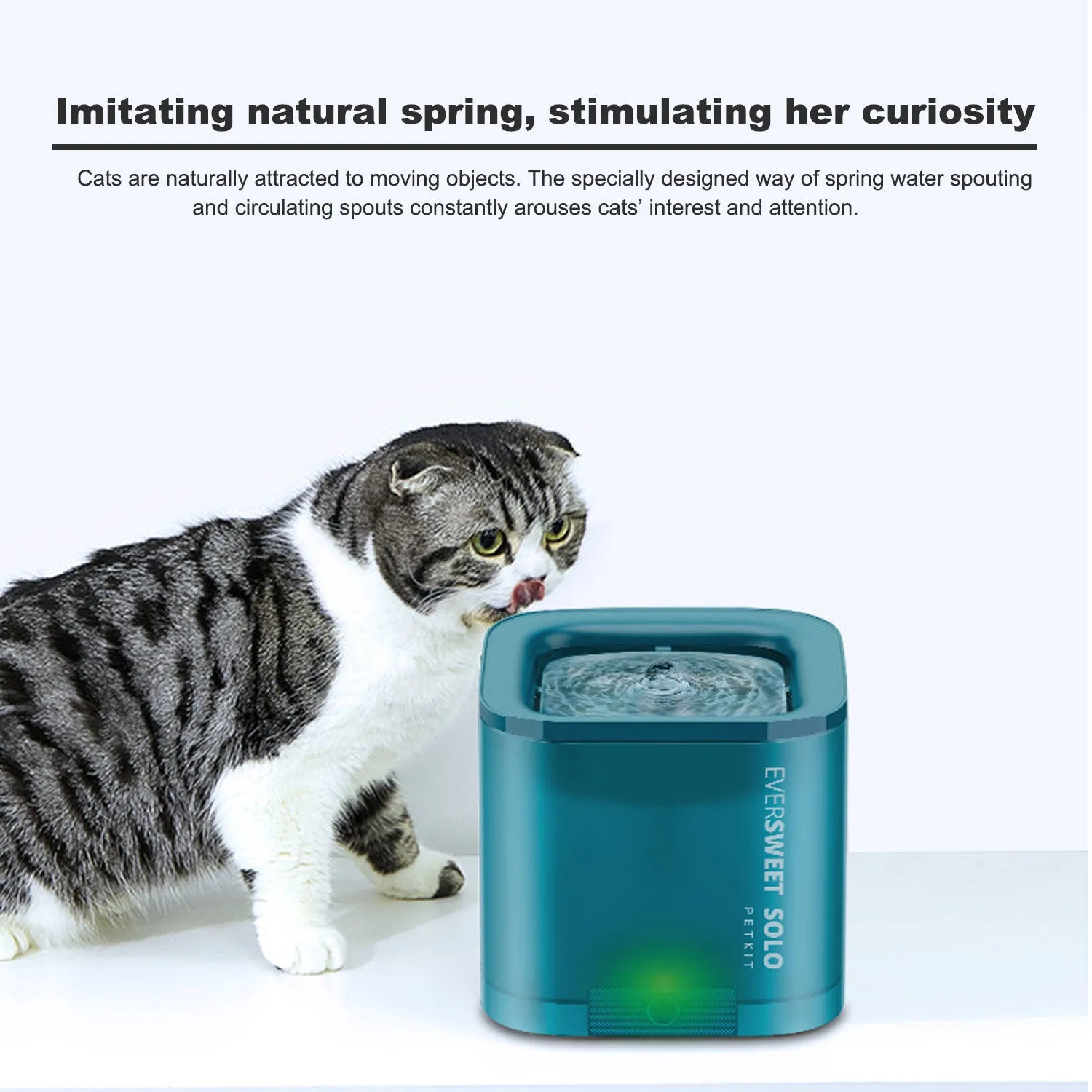 Petkit Eversweet Solo Pet Dog Cat Smart Water Dispenser Drinking Fountain feeder Bowl Ultra-Silent