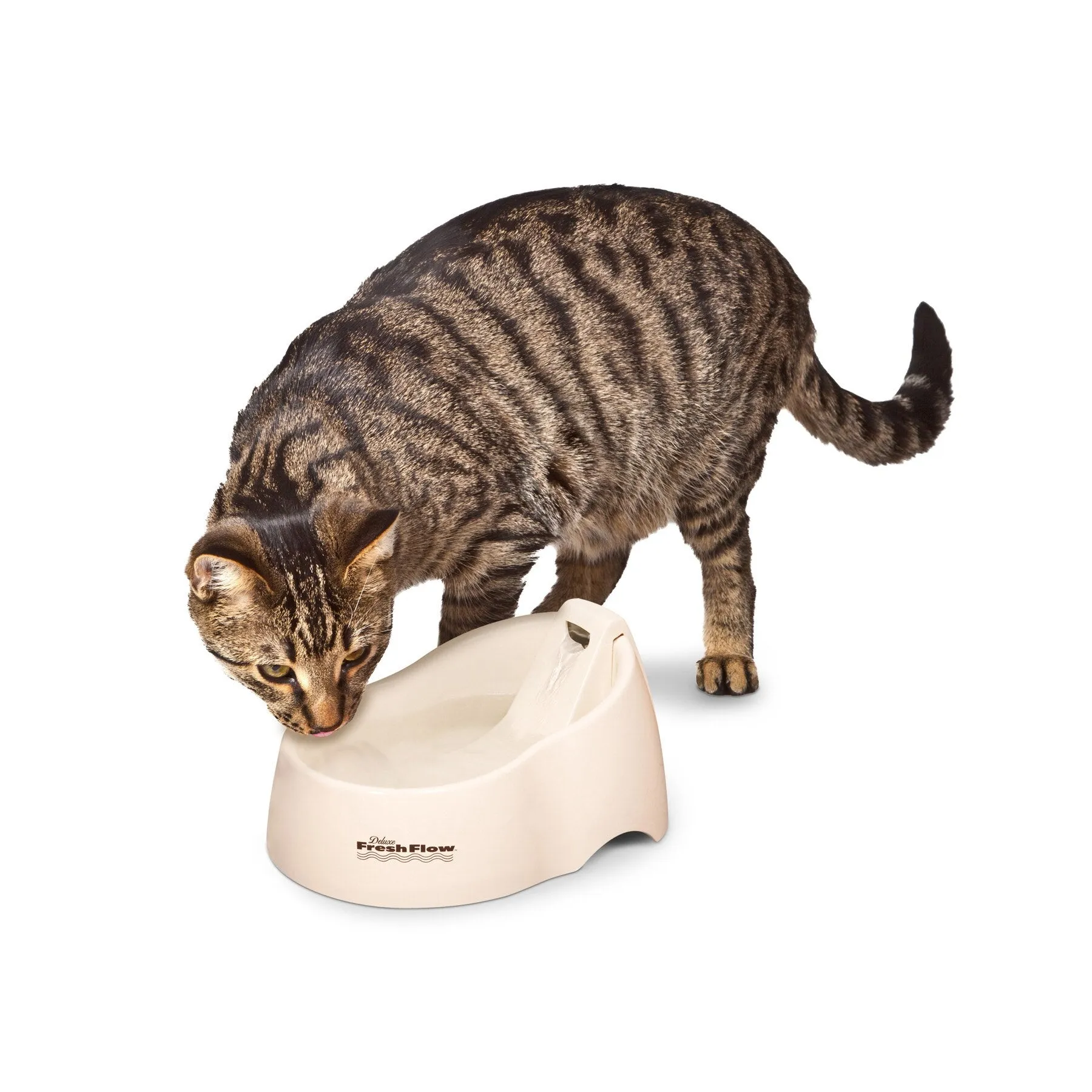 Petmate Deluxe Fresh Flow Fountain For Cats