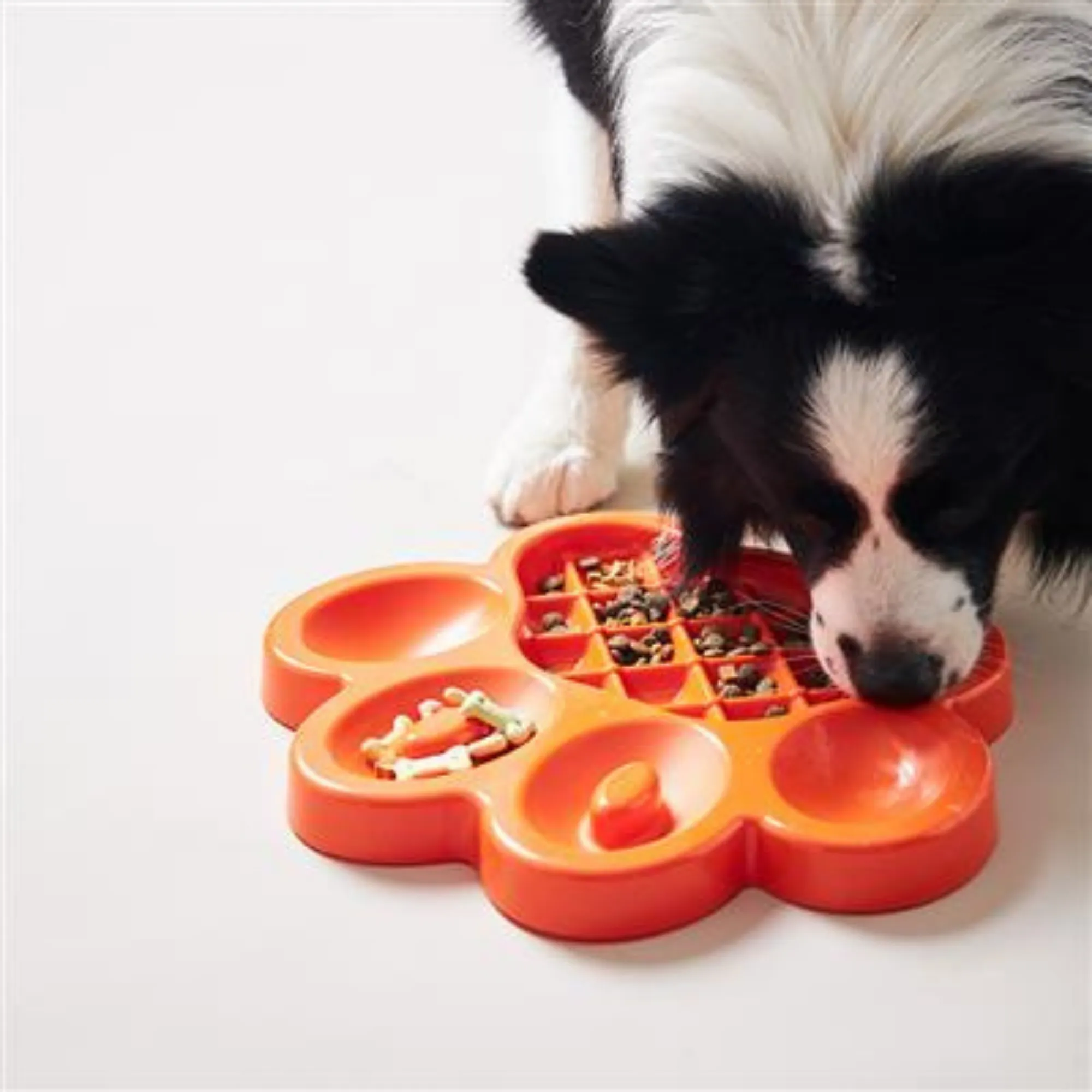 Poochie Pets PAW Slow Feeder Orange