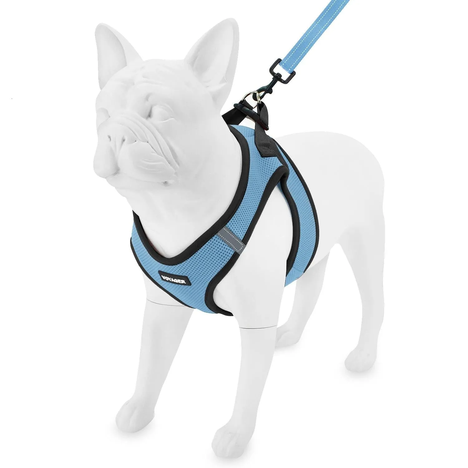 Step-in Air Harness & Leash Set