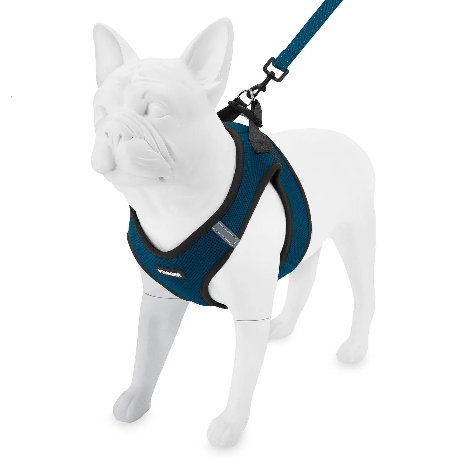 Step-in Air Harness & Leash Set