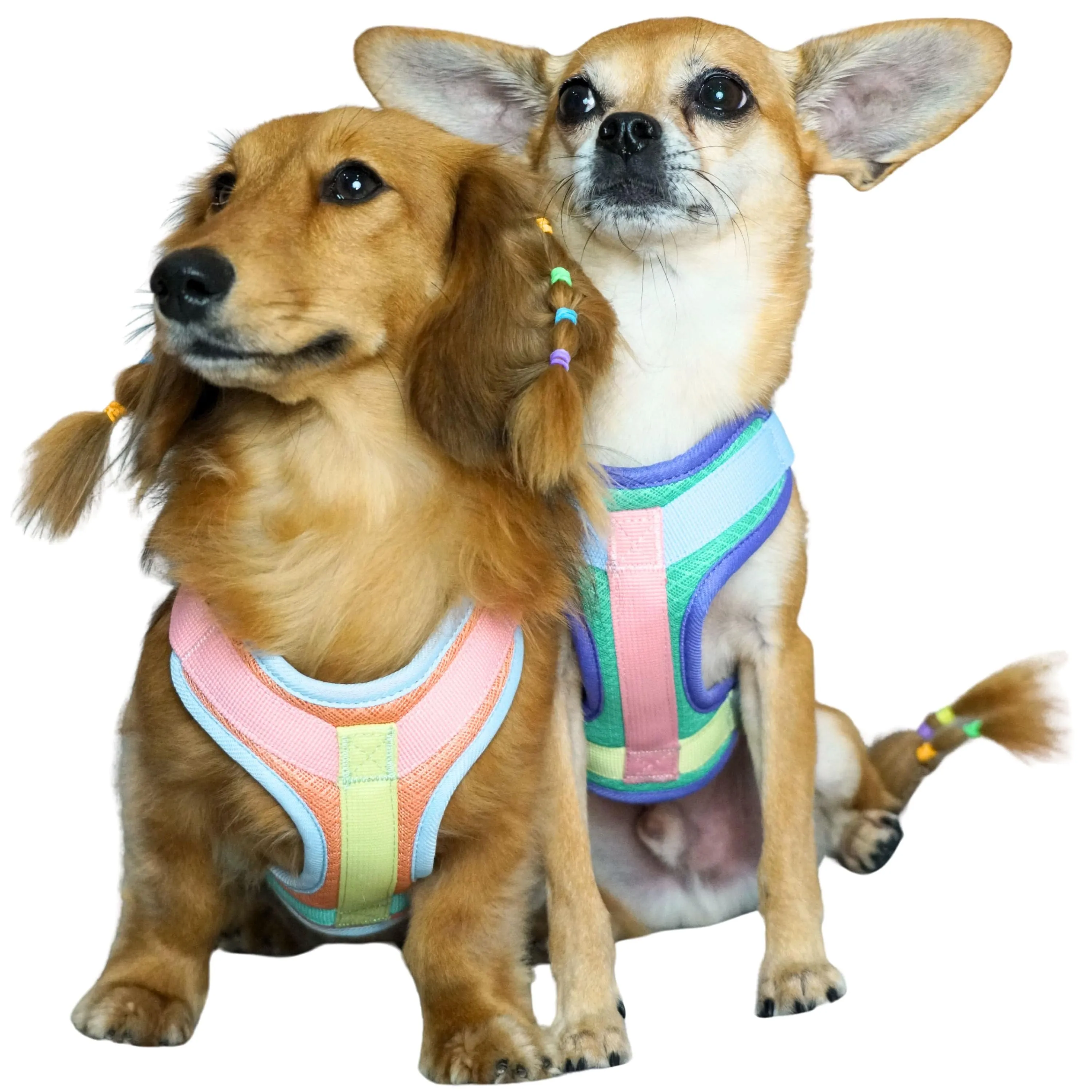 Vibrant Mesh Padded Ultra Cool Lightweight Dog Harness Vest