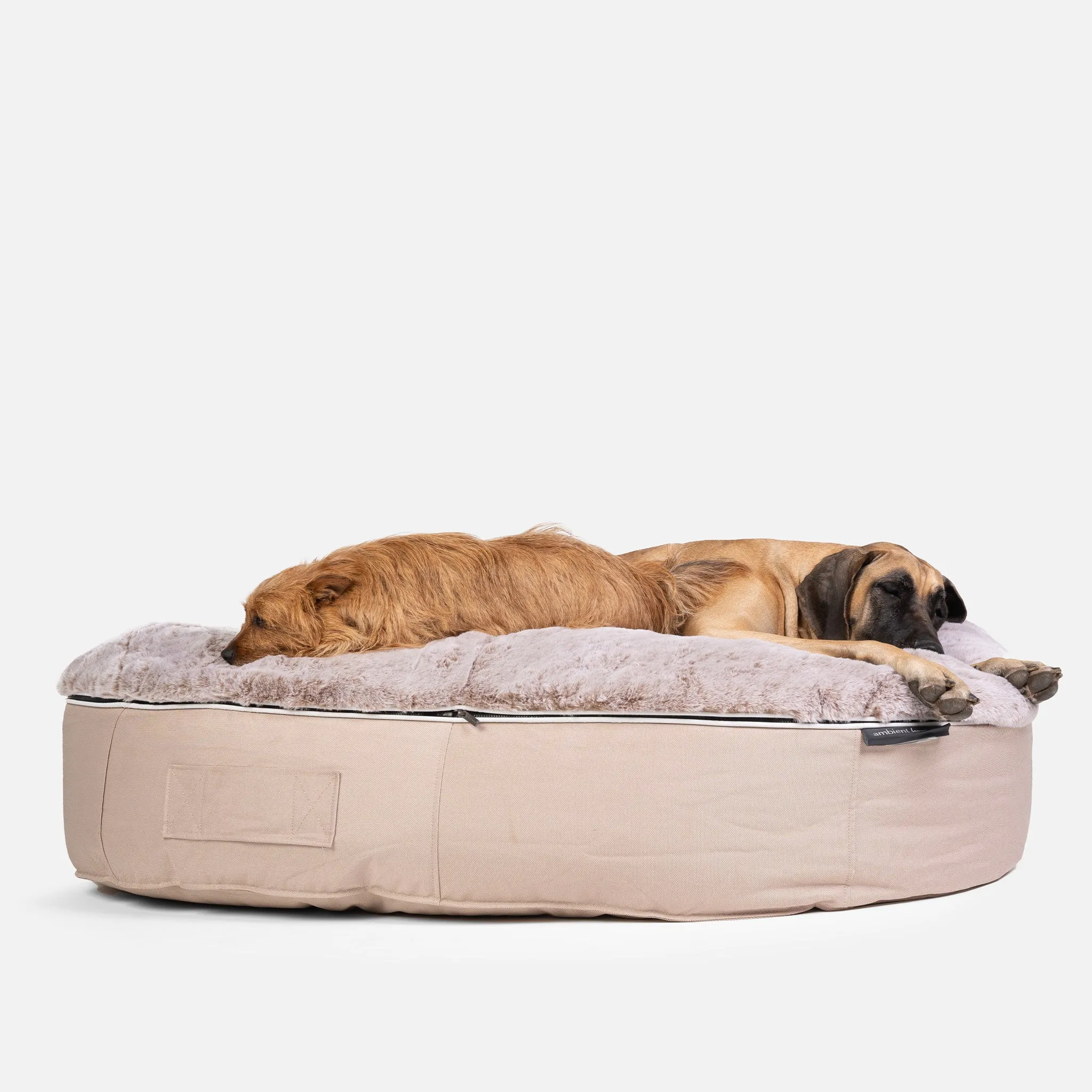 XXL Luxury Dog Bed - Interior/Outdoor