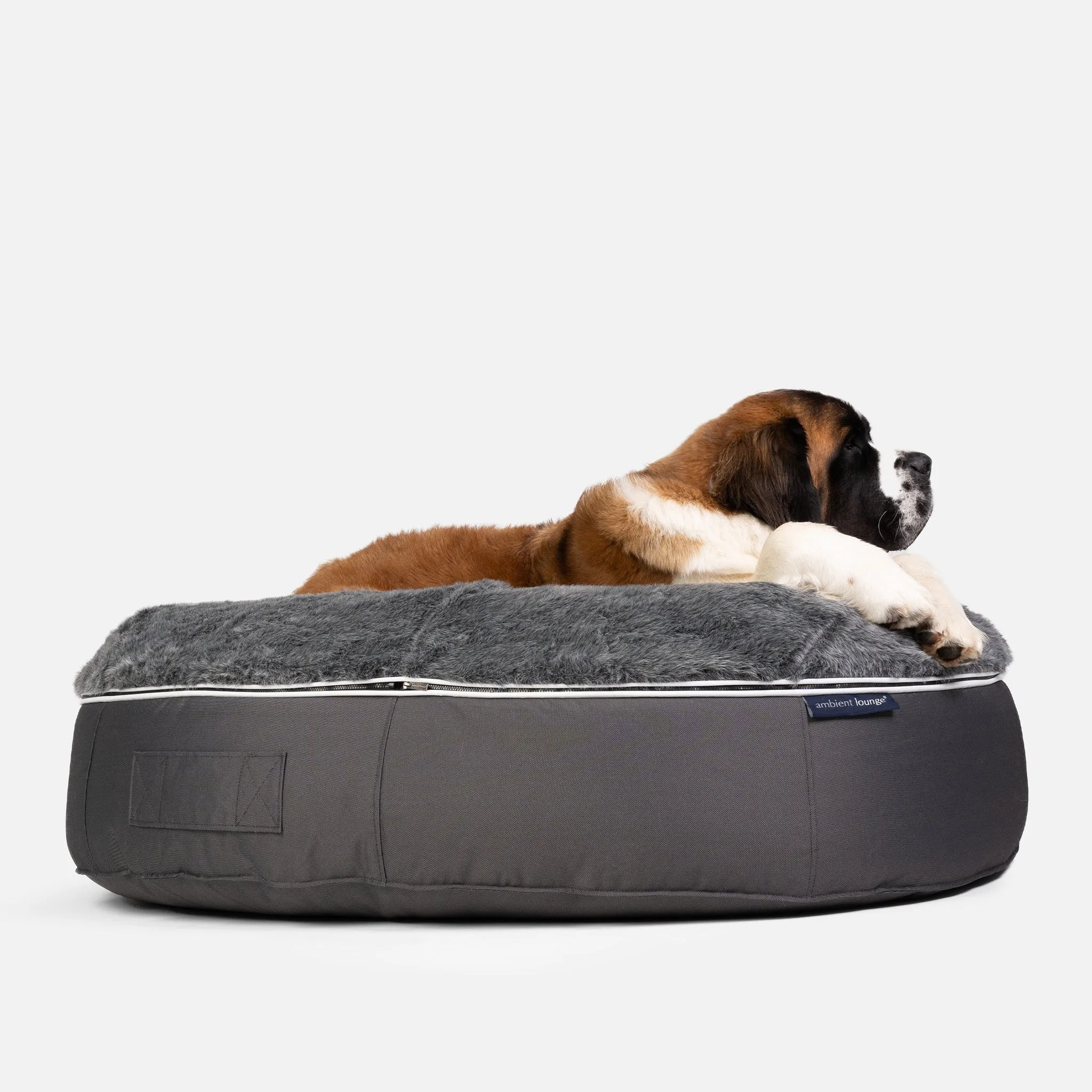 XXL Luxury Dog Bed - Interior/Outdoor